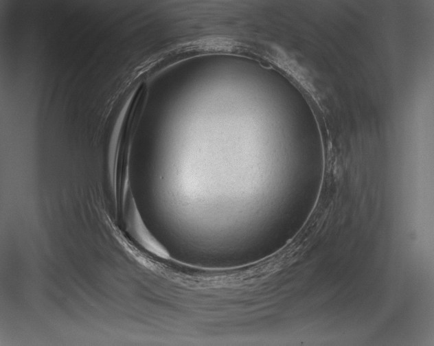 X0000084560013200702231244