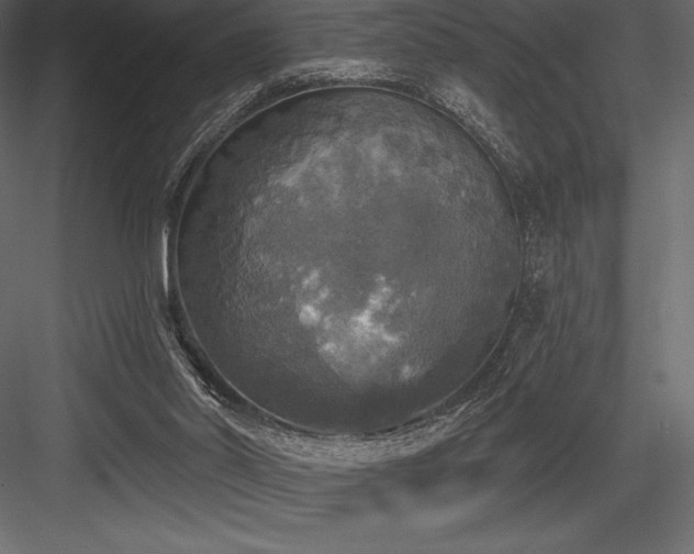 X0000084560014200702231244