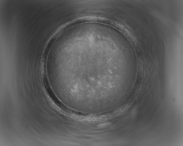 X0000084560016200702231244