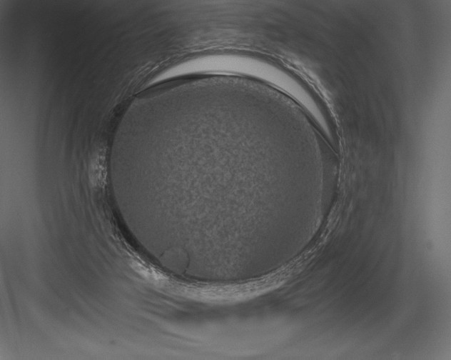 X0000084560017200702231244