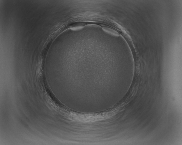 X0000084560018200702231244