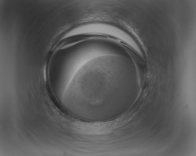 X0000084560019200702231244