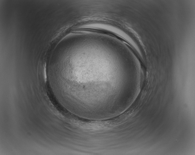 X0000084560020200702231244
