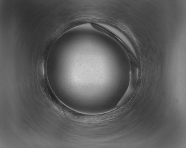X0000084560021200702231244