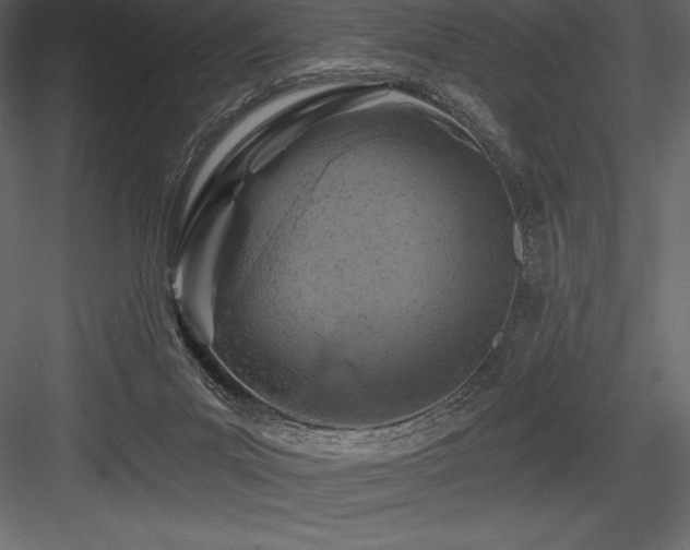 X0000084560023200702231244