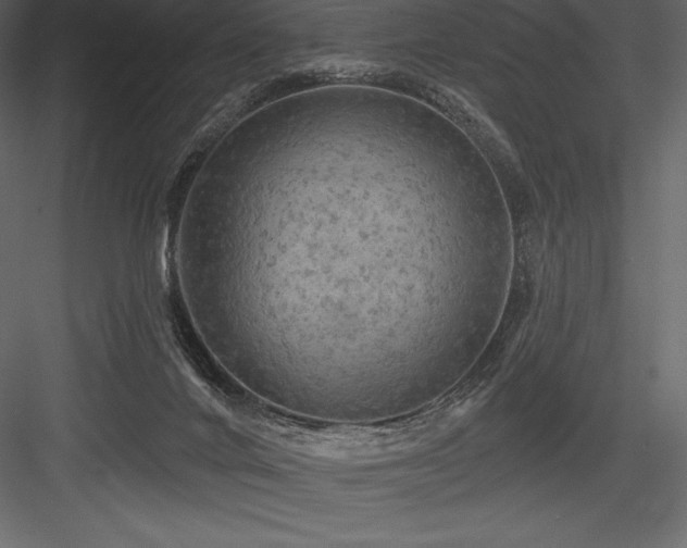 X0000084560024200702231244