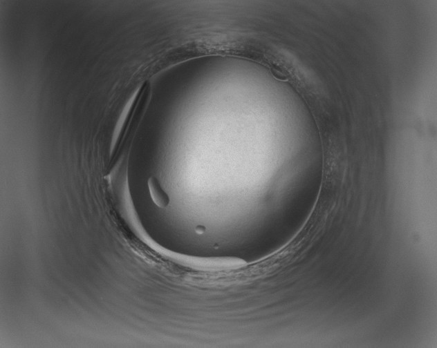 X0000084560025200702231244