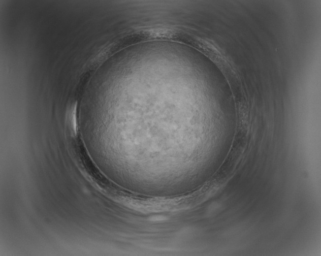 X0000084560028200702231244