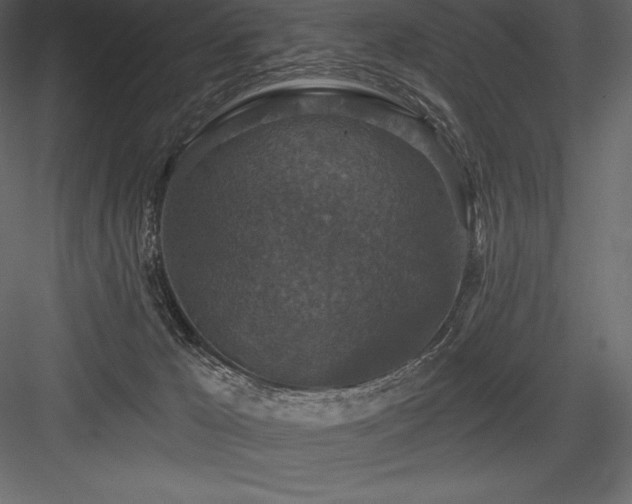 X0000084560029200702231244
