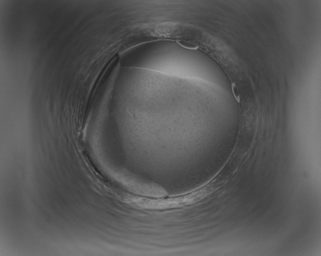 X0000084560031200702231244