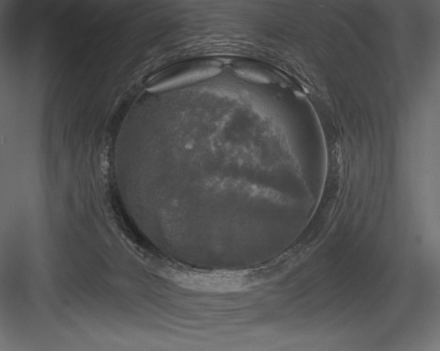 X0000084560032200702231244