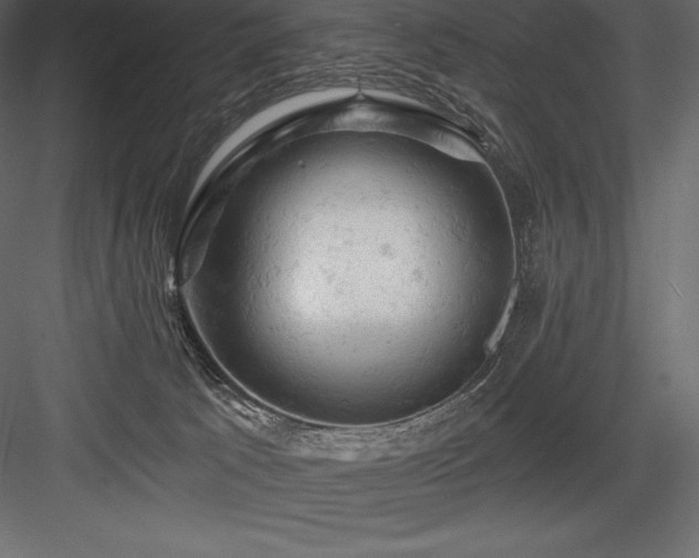 X0000084560033200702231244