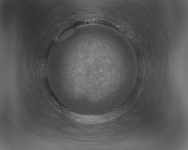 X0000084560034200702231244