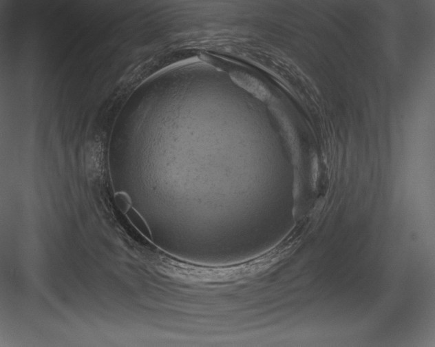 X0000084560035200702231244