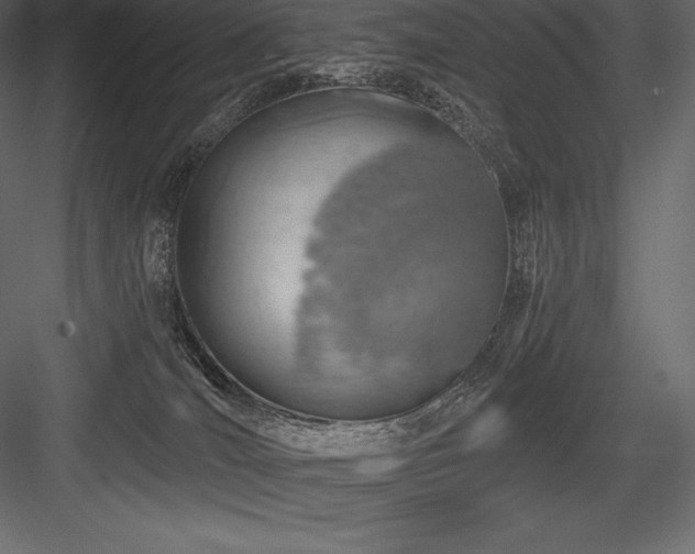X0000084560036200702231244