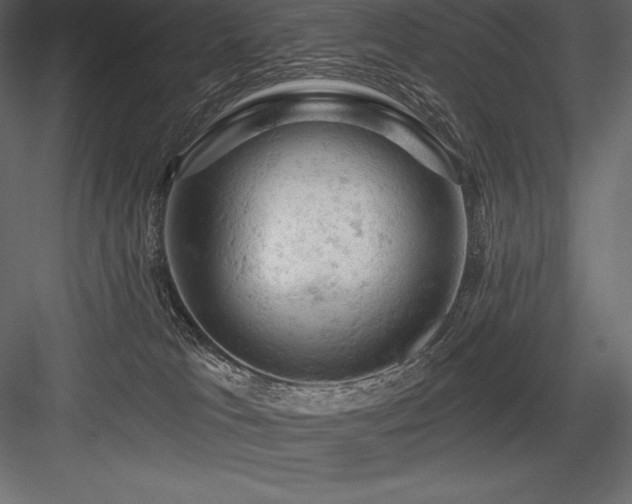 X0000084560037200702231244