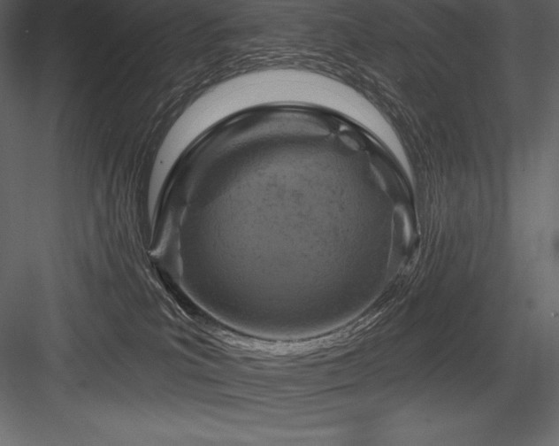 X0000084560039200702231244