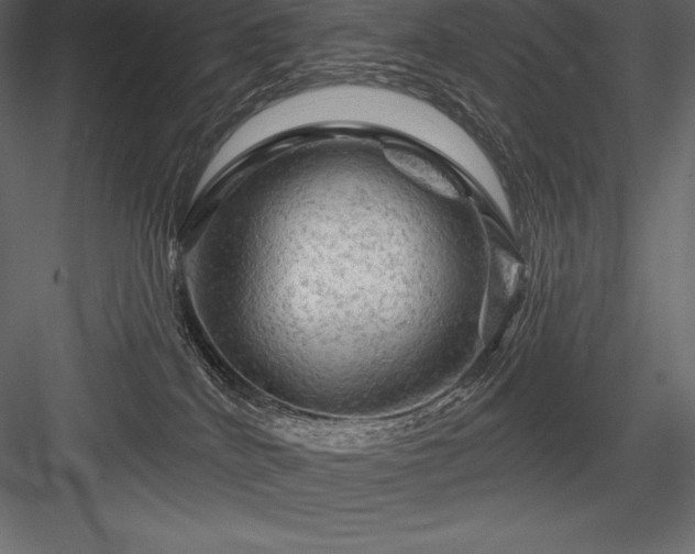 X0000084560040200702231244