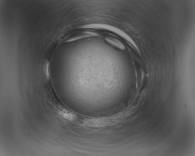 X0000084560041200702231244