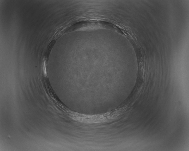 X0000084560042200702231244