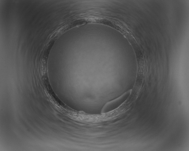 X0000084560043200702231244