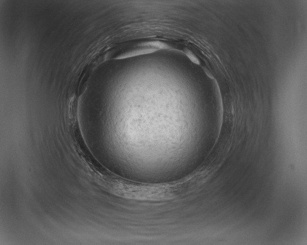 X0000084560044200702231244