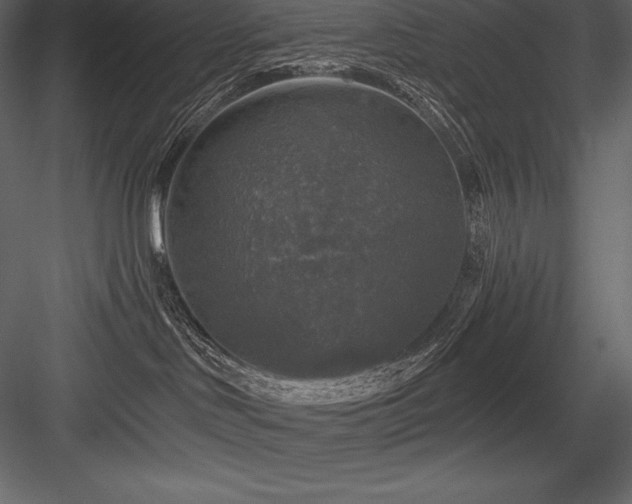 X0000084560046200702231244