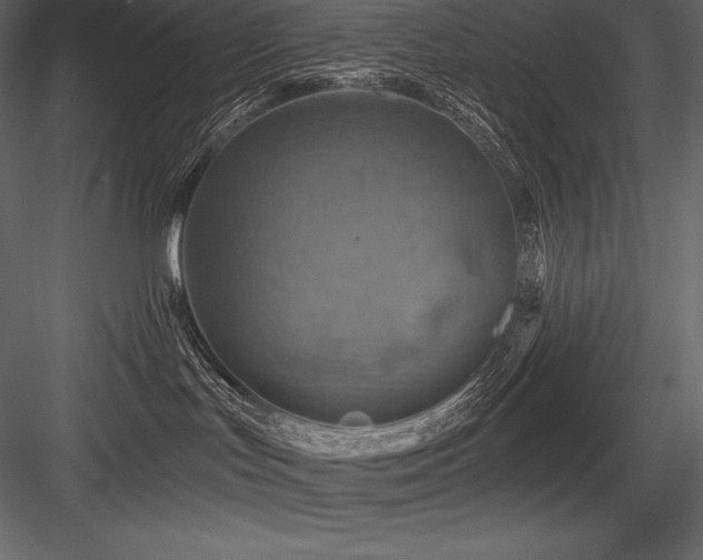 X0000084560047200702231244
