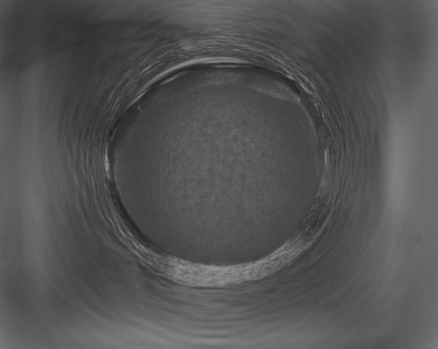 X0000084560048200702231244