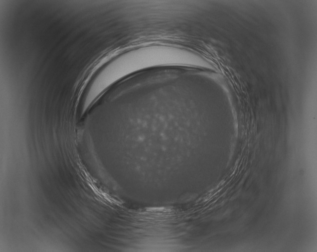 X0000084560050200702231243