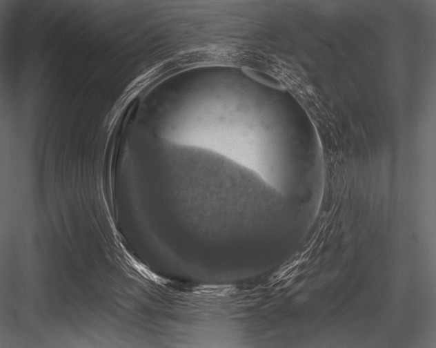 X0000084560051200702231243