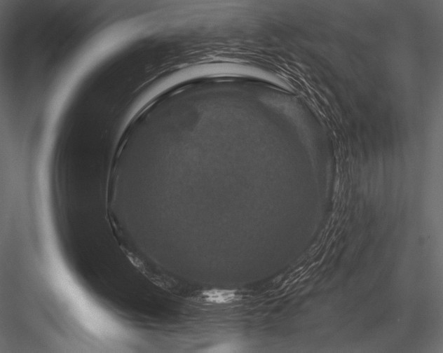 X0000084560052200702231243