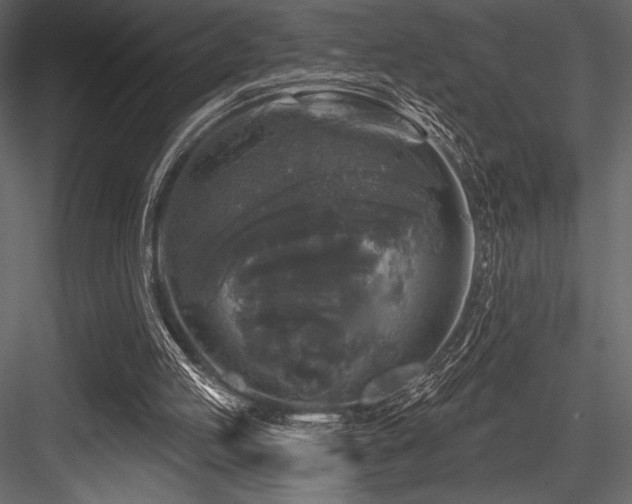 X0000084560053200702231243
