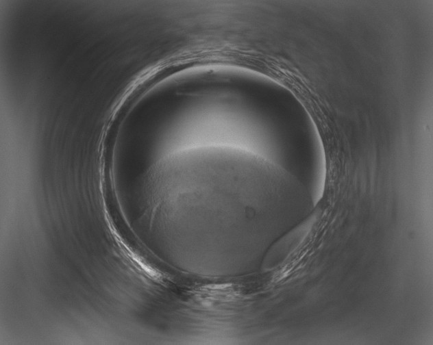 X0000084560054200702231243