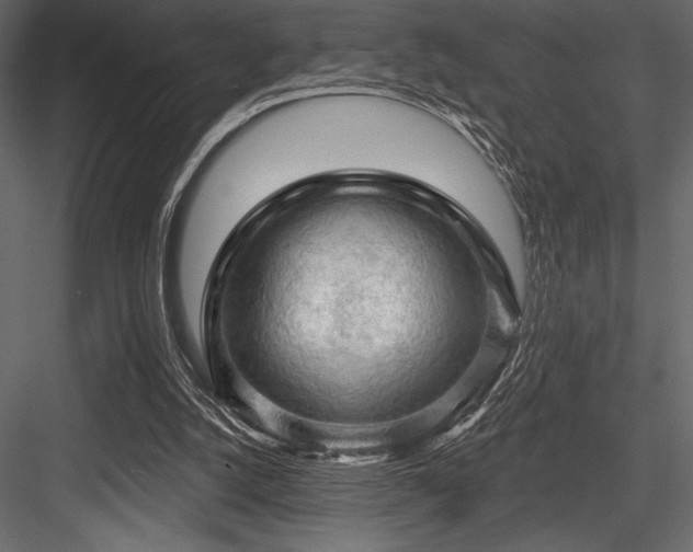 X0000084560056200702231243