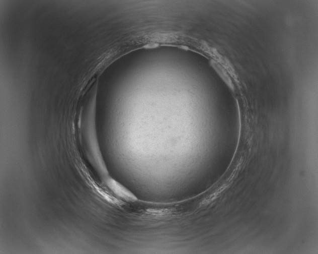 X0000084560057200702231243