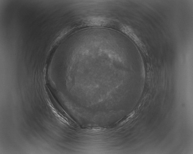 X0000084560058200702231243