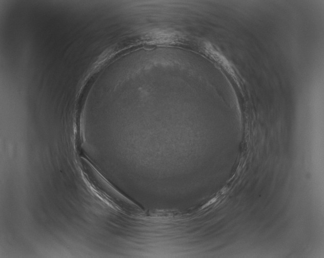 X0000084560059200702231243