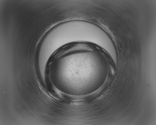 X0000084560060200702231243
