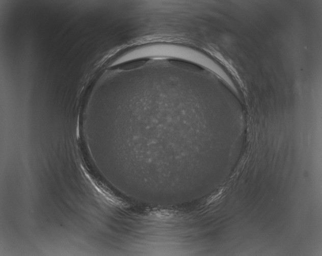 X0000084560062200702231243