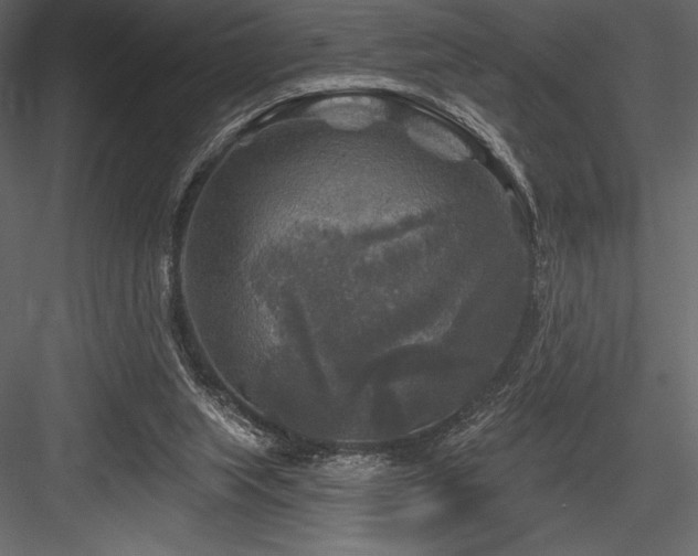 X0000084560063200702231243