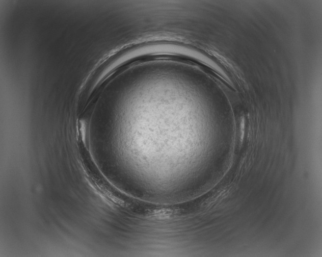 X0000084560064200702231243
