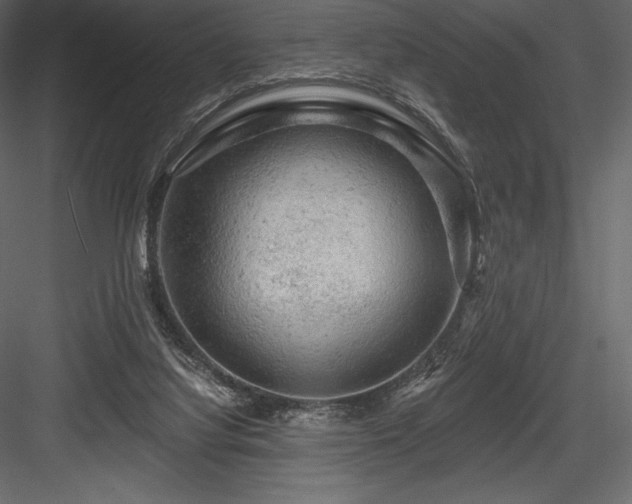 X0000084560068200702231243