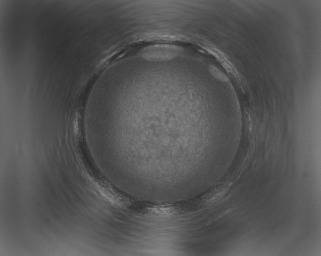 X0000084560071200702231243