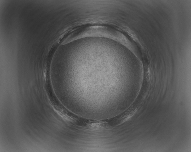 X0000084560072200702231243