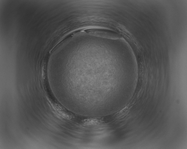 X0000084560074200702231243