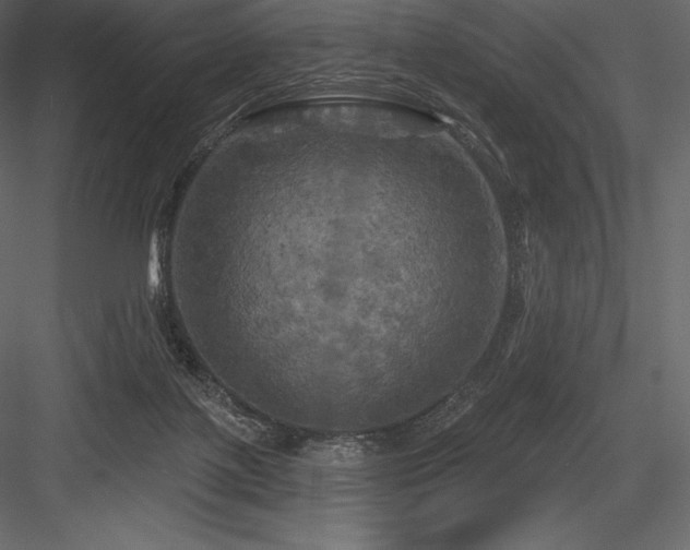 X0000084560075200702231243