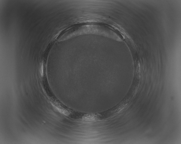 X0000084560076200702231243