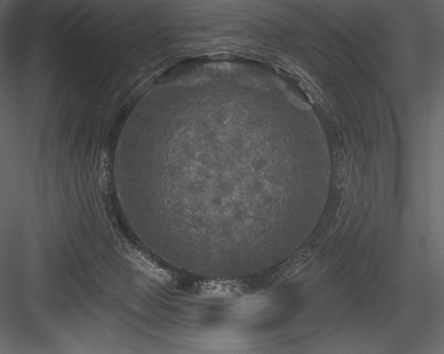 X0000084560077200702231243