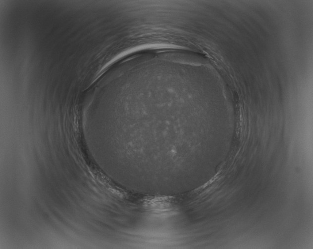 X0000084560078200702231243